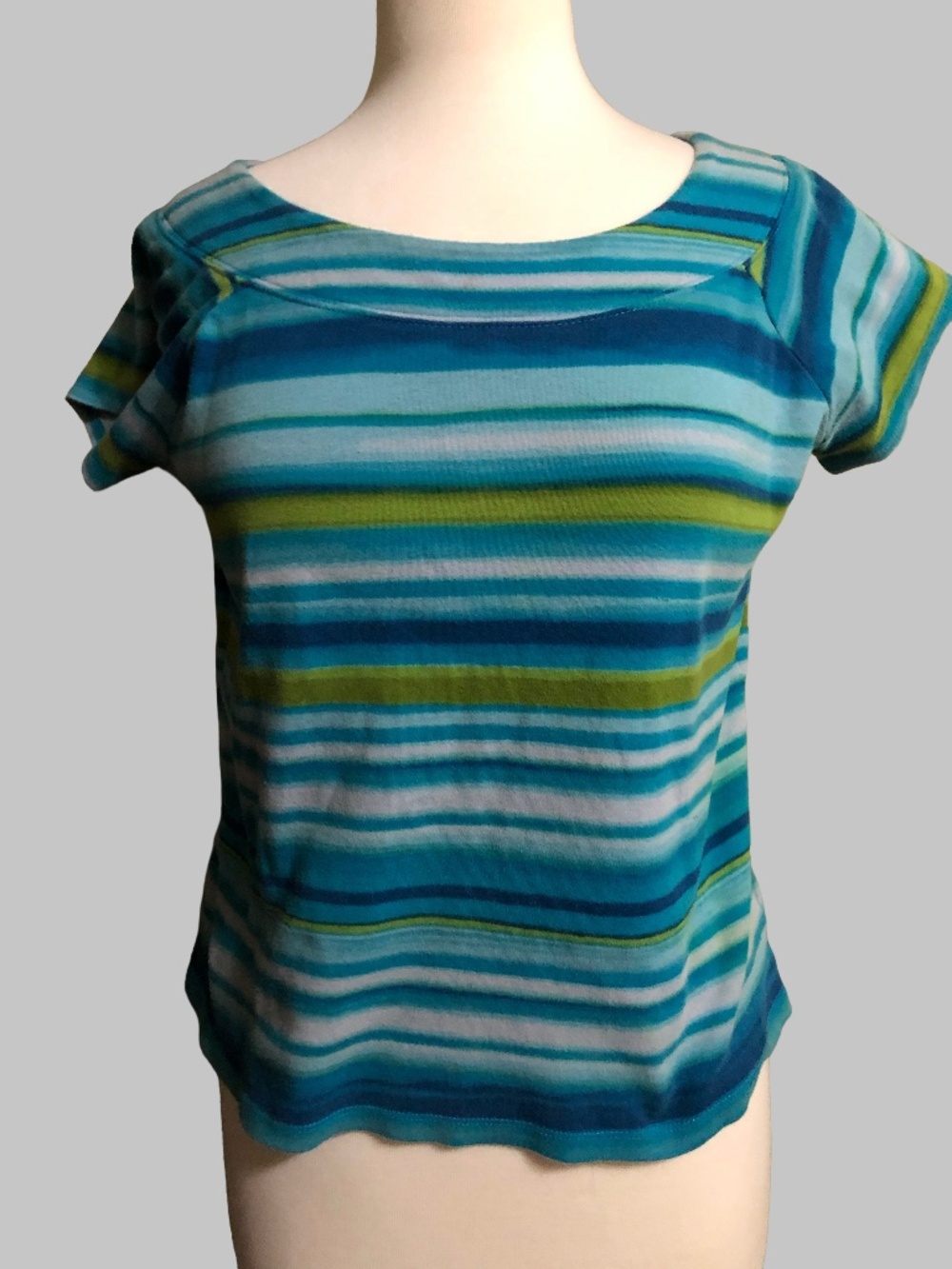 Jones New York Signature Petite Striped Short Sleeve Top, Blue & Green, PM
